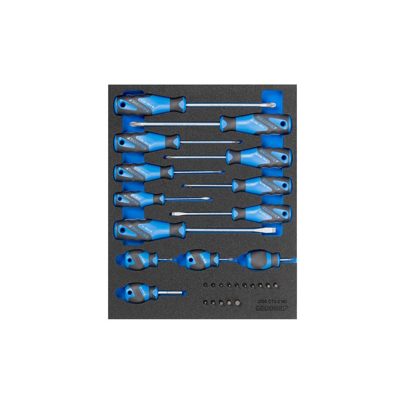 GEDORE Schraubendreher-Satz in Check-Tool-Modul, 15-teilig 2005 CT2-2160