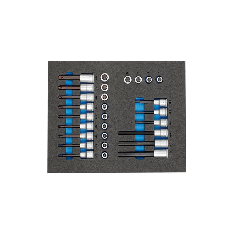 GEDORE Satz Schraubendrehereinsätze 1/2" in 2/4 Check-Tool-Modul TS CT2-ITX19